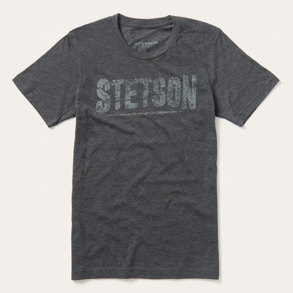 Stetson Distressed Graphic Tee Grey New